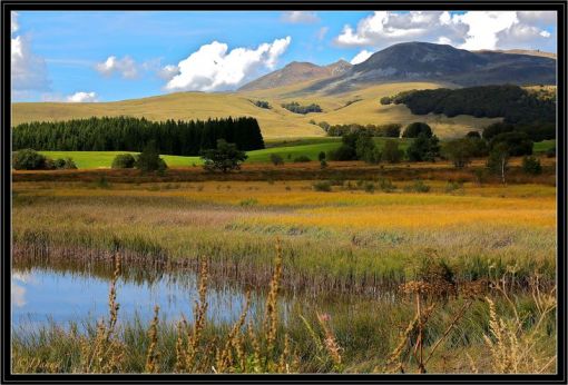 Tin tức trong ngày Việt Nam Trang tin tức Việt Nam Tin tức mới nhất