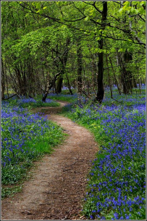 Tin tức trong ngày Việt Nam Trang tin tức Việt Nam Tin tức mới nhất 29 12 2025