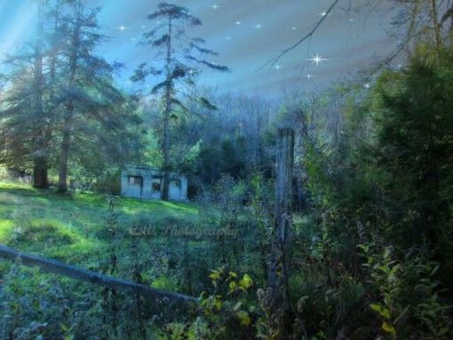 Tin tức trong ngày Việt Nam Trang tin tức Việt Nam Tin tức mới nhất 30 11 2025