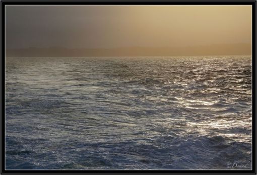 Tin tức trong ngày Việt Nam Trang tin tức Việt Nam Tin tức mới nhất