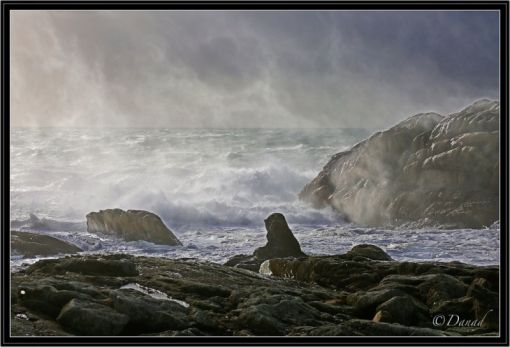 Tin tức trong ngày Việt Nam Trang tin tức Việt Nam Tin tức mới nhất