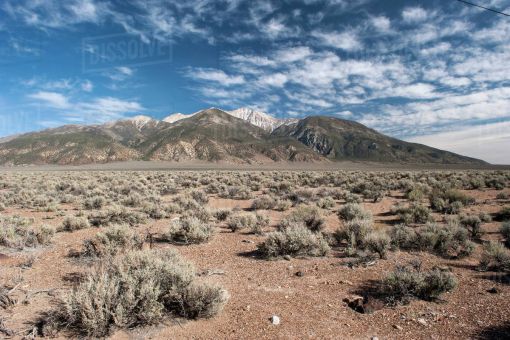 Tin Tức Trong YouTube Ngày 19 tháng 10 năm 2025