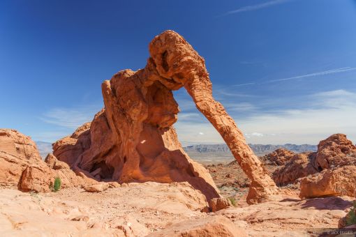 Tin Tức Trong YouTube Ngày 19 tháng 10 năm 2025