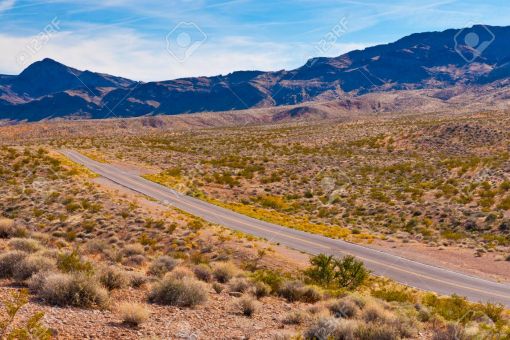 Tin Tức Trong YouTube Ngày 19 tháng 10 năm 2025